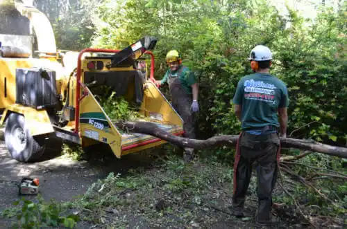 tree services Denison